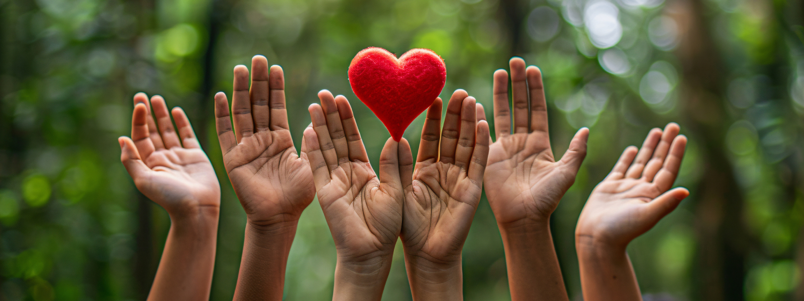 Donate People Charitable Trust